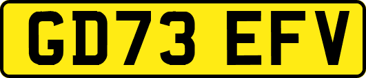 GD73EFV