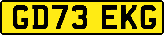 GD73EKG