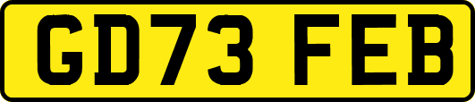 GD73FEB