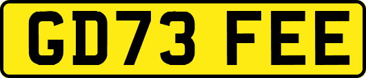 GD73FEE