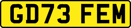 GD73FEM