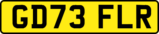 GD73FLR