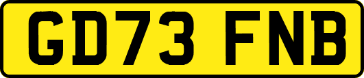 GD73FNB
