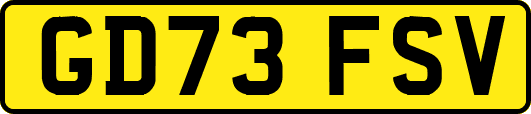 GD73FSV