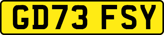 GD73FSY
