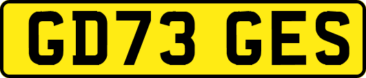 GD73GES