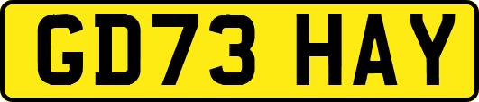 GD73HAY