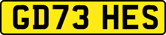 GD73HES