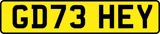 GD73HEY