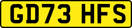 GD73HFS
