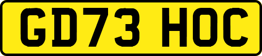 GD73HOC