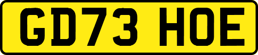 GD73HOE