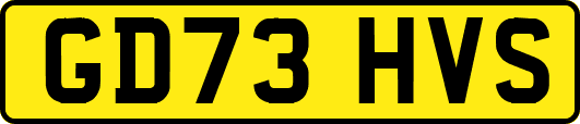 GD73HVS