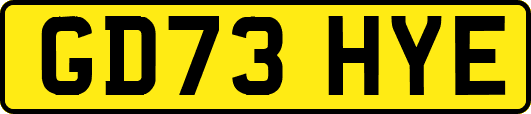 GD73HYE