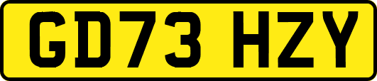 GD73HZY