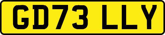 GD73LLY