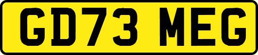 GD73MEG