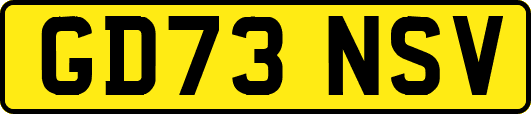 GD73NSV