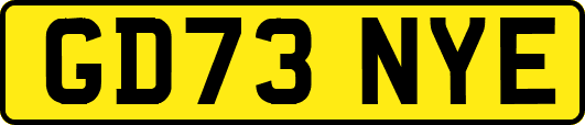 GD73NYE