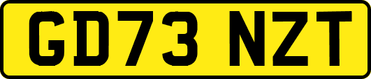 GD73NZT