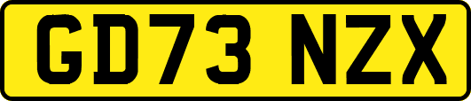 GD73NZX