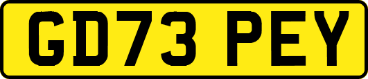 GD73PEY
