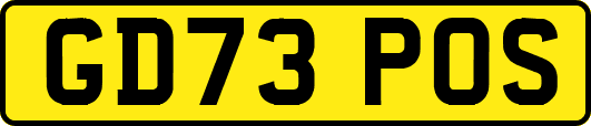 GD73POS