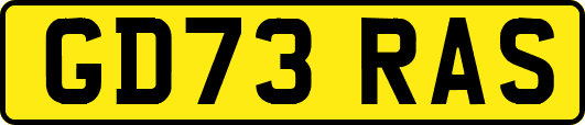 GD73RAS