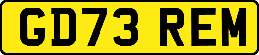 GD73REM