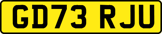 GD73RJU