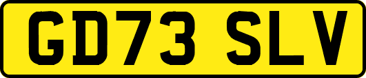 GD73SLV