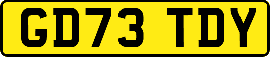 GD73TDY