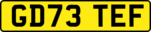GD73TEF