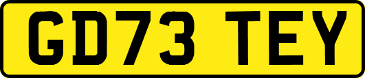 GD73TEY