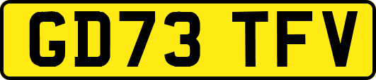 GD73TFV