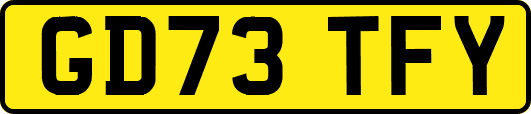 GD73TFY