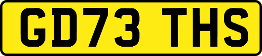GD73THS