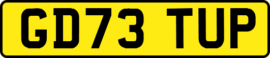 GD73TUP