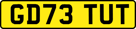 GD73TUT