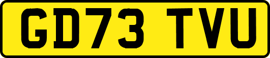 GD73TVU