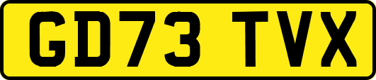 GD73TVX