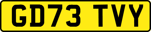 GD73TVY