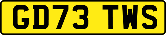 GD73TWS