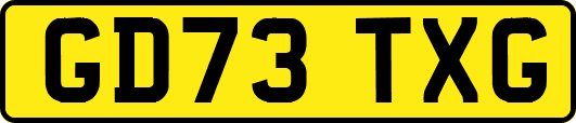 GD73TXG