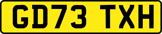 GD73TXH