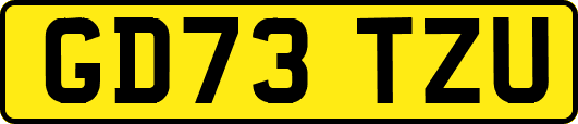 GD73TZU