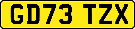 GD73TZX