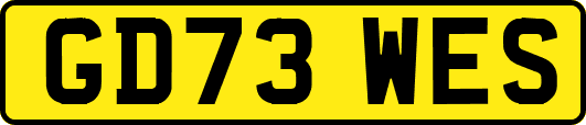 GD73WES