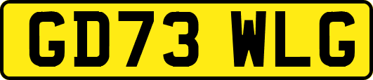 GD73WLG