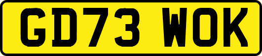 GD73WOK